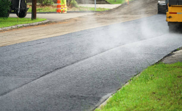 Best Paver Driveway Replacement  in Kingsville, TX