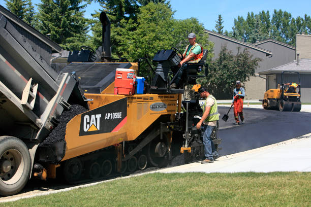 Best Professional Driveway Pavers  in Kingsville, TX